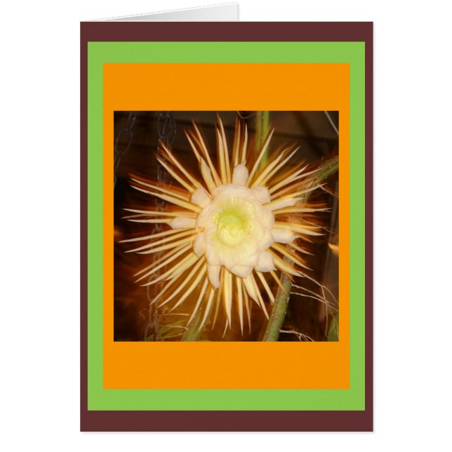 Cartão Cactus Flower (Frente)