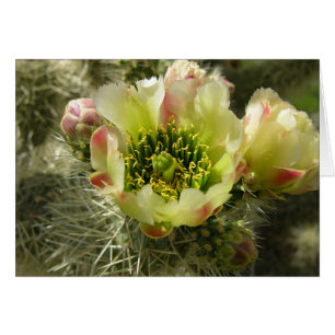 Cartão Cactus Flower