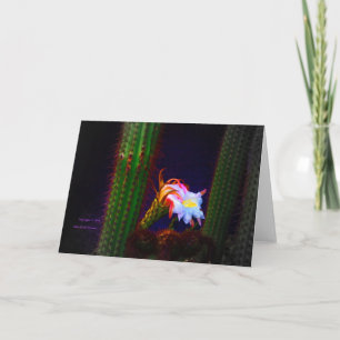 Cartão “Cactus Flower At Sunset #105” Photograph
