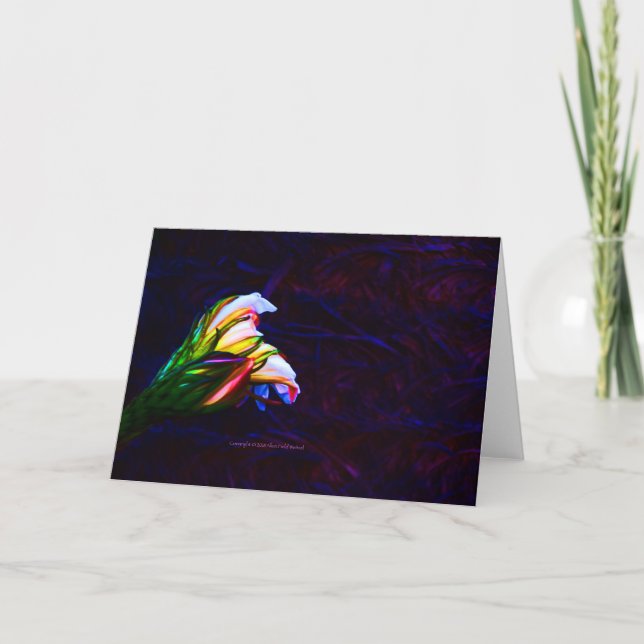 Cartão “Cactus Flower At Sunset #85” Photograph (Frente)