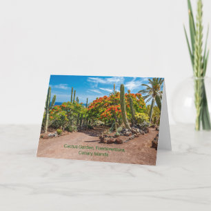 Cartão Cactus Garen, Fuerteventura, Ilhas Canárias,