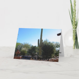 Cartão Cactus, Nature's Beauty