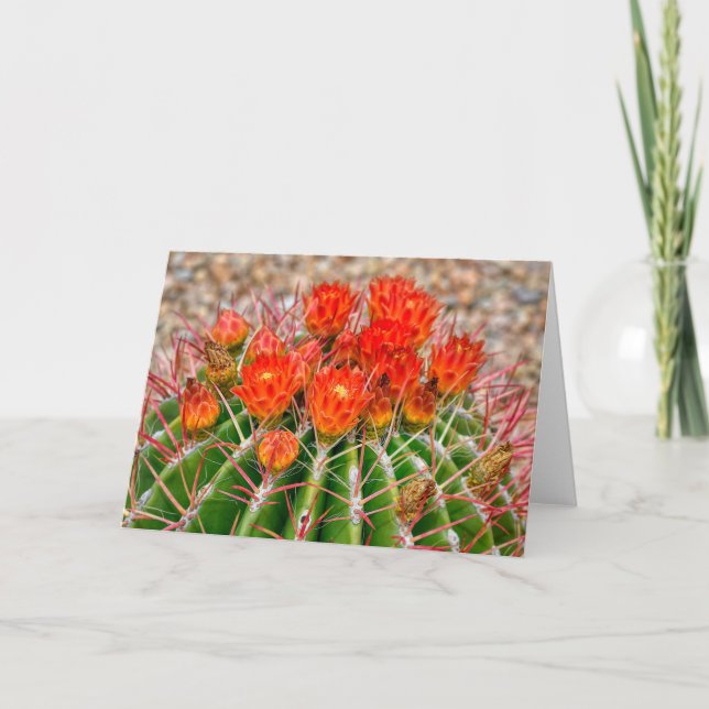 Cartão Cactus Notecard - Blooms of Arizona (Frente)