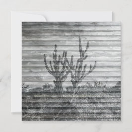 Cartão Cactus Plants On Wood Planks Black And White Photo