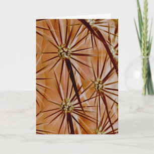 Cartão Cactus Spines Greeting Card