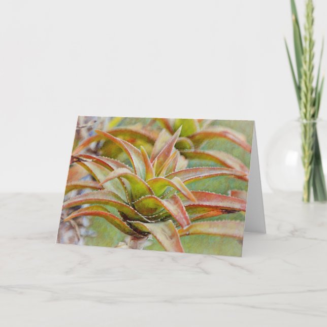 Cartão Cactus Succulent Aloe Art Note Card (Frente)