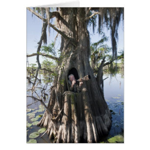 Cartão Caddo Lake, cego à caça