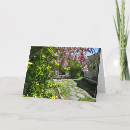 Cartão Cadeias de Wisteria e Rocking - Vineyard de Martha