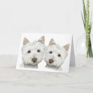 Cartão Cães bonitos de Westie