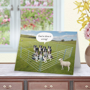 Cartão Cães Border Collie e Ovelhas Aniversário Divertido