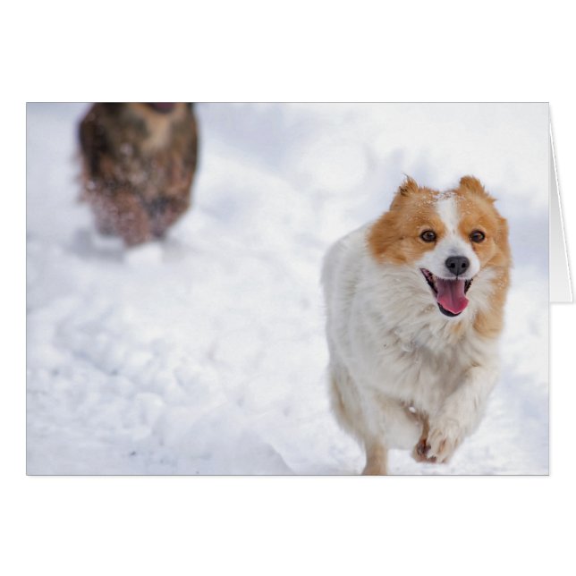 Cartão Cães correndo (Frente Horizontal)