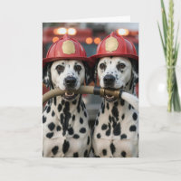Cães dálmatas de aniversário segurando uma manguei