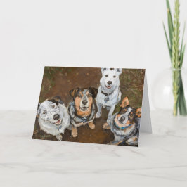 Cartão Cães-de-vaca sorrindo Cães-de-Bovinos e Capeleiros