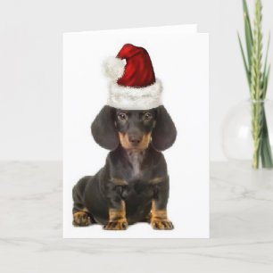 Cartão Cães Ditzy~Notecard Original~Dachshund
