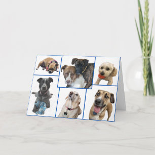 Cartão Cães do Condado de Johnston