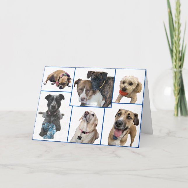 Cartão Cães do Condado de Johnston (Frente)