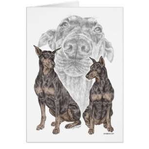 Cartão Cães Doberman Negros