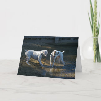 Cartão Cães Encontram Sua Primeira Onda