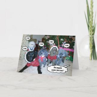 Cartão Cães Engraçados Ajudam a Regar a Árvore de Natal