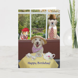 Cartão Cães engraçados/aniversário fêmea dos laborat