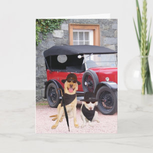 Cartão Cães Engraçados Personalizáveis Clássicos