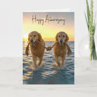 Cães Golden Retriever de aniversário com corda ema