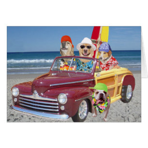 Cartão Cães/laboratórios na praia