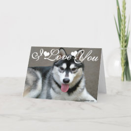 Cartão Cães Malamute do Alasca Eu Amo Você