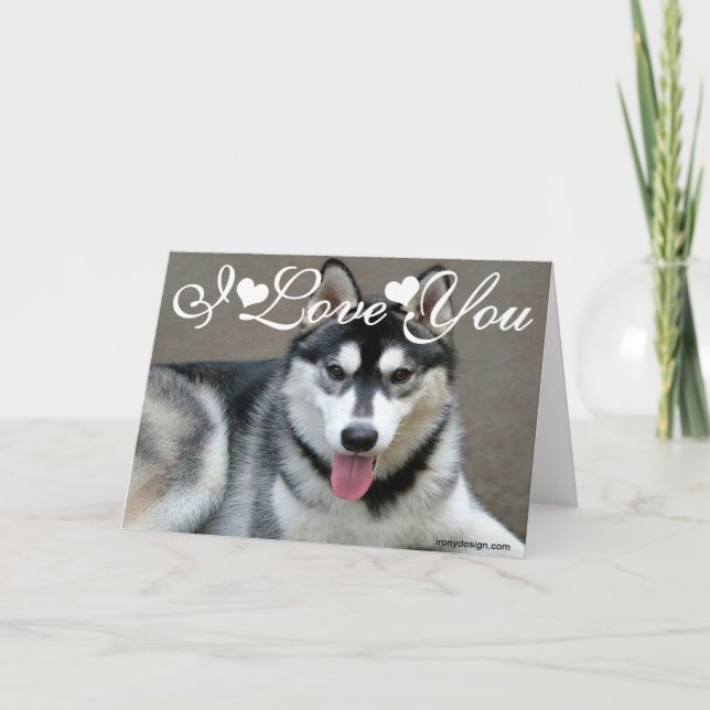 Cartão Cães Malamute do Alasca Eu Amo Você (Frente)