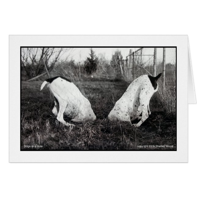 Cartão Cães num Buraco (Frente Horizontal)