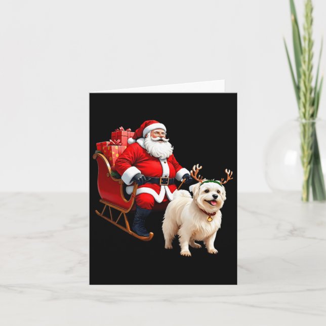 Cartão Cães Papais noeis De Pântano Sleigh Maltês Reindet (Frente)