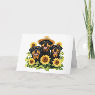 Cartão Cães Rottweiler Cercados Por Girassóis