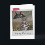 Cartão Café Rainha Tabby Cat Funny Birthday<br><div class="desc">Brilhar o aniversário de qualquer amante de gatos com este design felino,  caprichoso e divertido!</div>