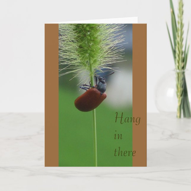 Cartão Cair dentro lá (Frente)