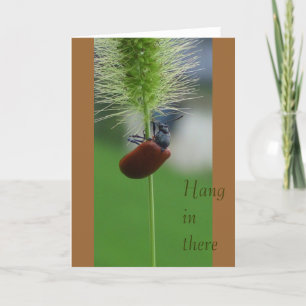 Cartão Cair dentro lá