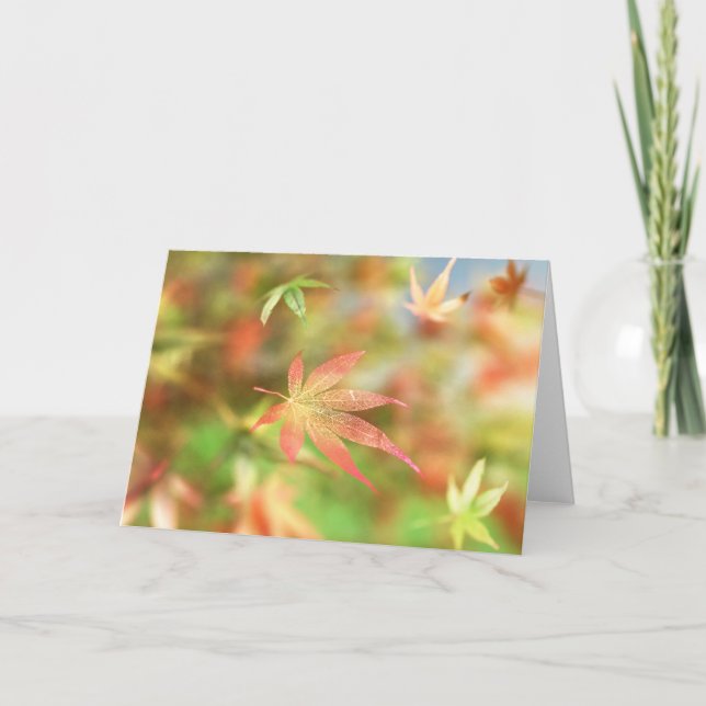 Cartão Cair na placa de arquivo (Frente)