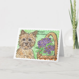 Cartão Cairn Terrier Happy Birthday card pansies basket