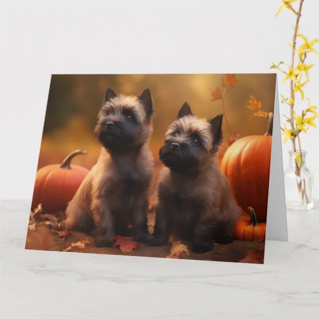 Cartão Cairn Terrier Puppy Autumn Delight Pumpkin (Flor Amarela)