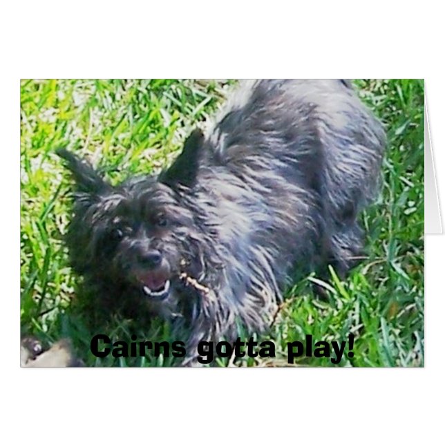 Cartão Cairns tem que jogar! (Frente Horizontal)