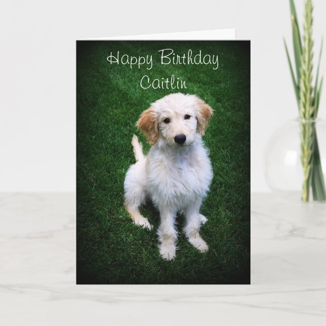 Cartão Caitlin Happy Birthday Ouro Doodle Puppy (Frente)