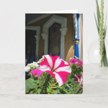 Caixa de Flores de Springtime - Vinha de Martha