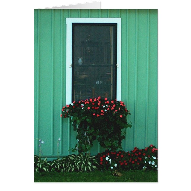 Cartão Caixa de janela de Impatients (Frente)