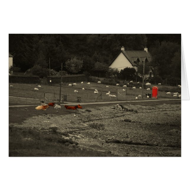 Cartão caixa de telefone (Frente horizontal)