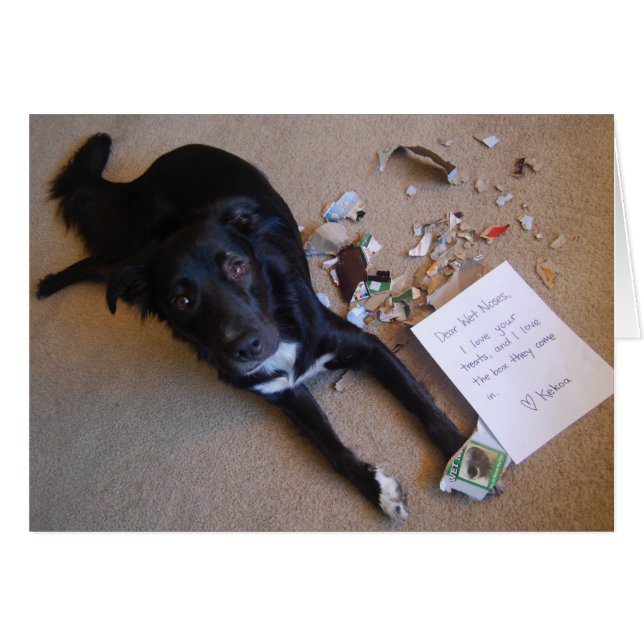 Cartão Caixa. Status == Destruído. (Frente Horizontal)