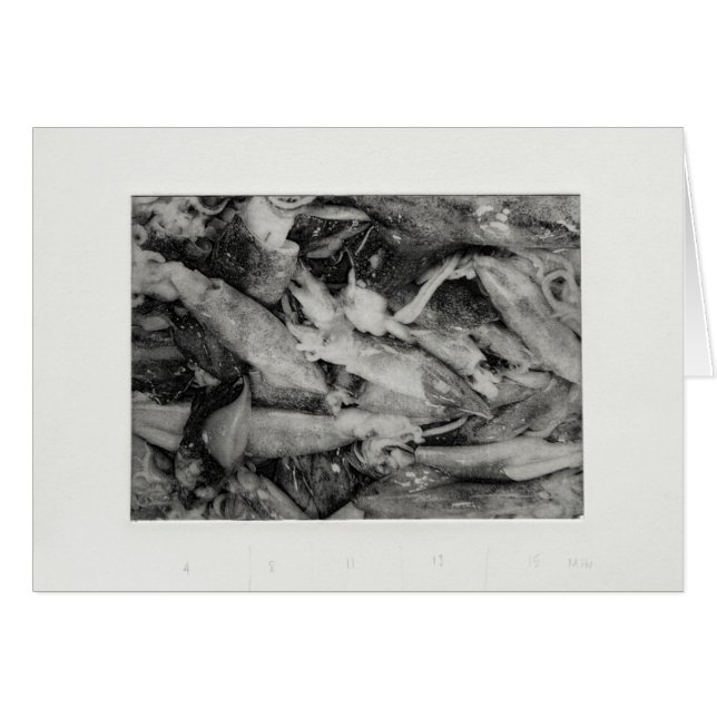 Cartão Calamar (Frente Horizontal)