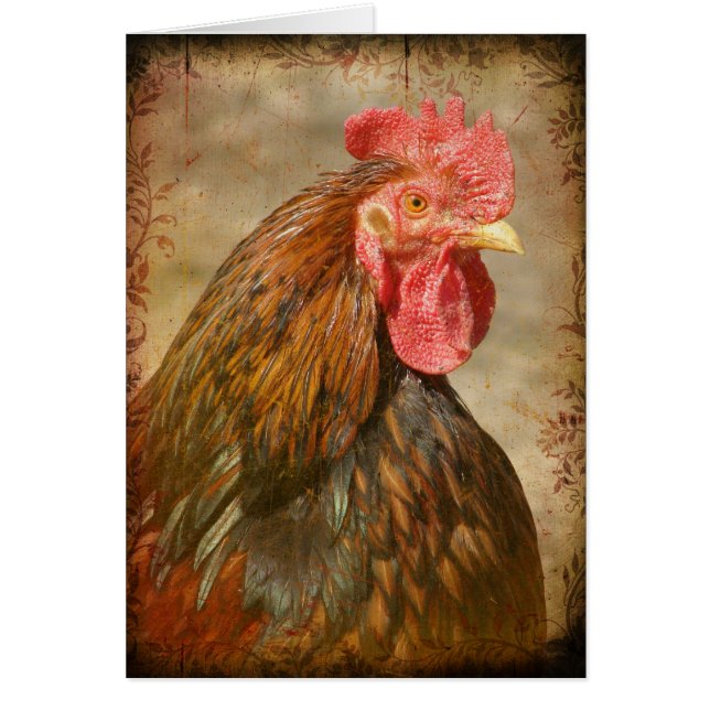 Cartão Calças de rico (Frente)