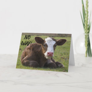 CARTÃO CALF NÃO ACREDITA QUE VOCÊ ESTÁ ***40*** ANIVERSÁR