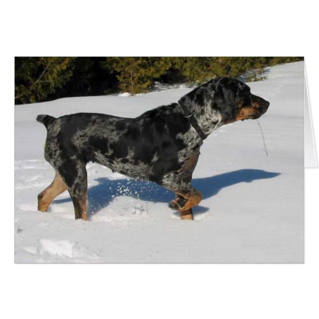 Cartão Cali (Frente Horizontal)