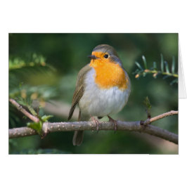 Cartão Cálices de vermelho