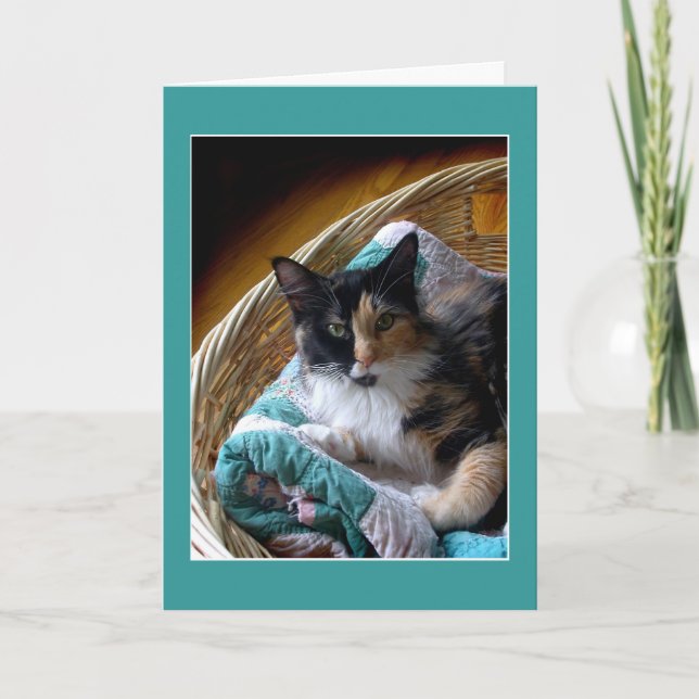 Cartão Calico cat in a basket greeting or note card (Frente)